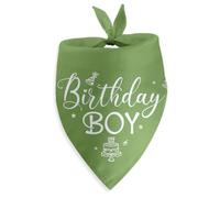 Birthday Boy Dog Bandana Happy First Birthday Gift for Large Medium Small Cats Dogs Boy Dog First Birthday Party Photo Prop Accessories Christmas Puppy Gifts