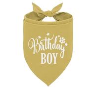 Birthday Boy Dog Bandanas, Dog Birthday Bandana, Birthday Bandana for Small Medium Dog, Pet Accessories for Dog, Happy Birthday Dog Bandana for Boys, Pet Scarf (B17)