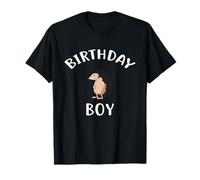 Birthday Boy Hedgehog T-Shirt Hedgehog Shirt for Birthday T-Shirt