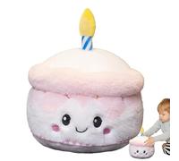 Birthday Cake Plush | Birthday Cake Stuffed Plush | Women Sleeping Companion Home