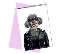 Birthday Card/Anniversay/Get Well Greeting Funny Poodle Card from the Dog with Leather Jacket Sunglasses #168c