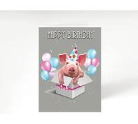 Birthday Card, Foiled Birthday Card wit Animals in Whimsical Setting. Suitable for all ages. Flamingo Macaroons #D301