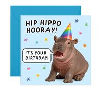 Birthday Card for Boys and Girls- “Hip Hippo Hooray!” - Gift for Him, Her, Son, Daughter, Mum, Dad, Friends, BFF, Bestie - Cute Baby Hippo for Kids and Adults - Comes with Stickers