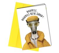Birthday Card for Partner to Girlfriend Anniversary for Boyfriend Happy Anniversary to Husband from the Whippet Dog #170