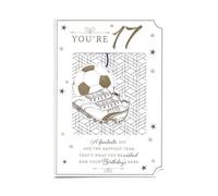 Birthday Card for Seventeen (17) 17th Year Old Boy