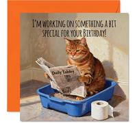 Birthday Card - Working on Something Special - Happy Birthday Card for Family or Friends from Friends or Family, 145mm Funny Cat Litter Tray Humour Bday Greeting Cards