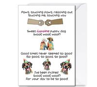 Birthday Card from the Dog, Funny Dog Greeting Cards, A5 Doggie Lover Cards