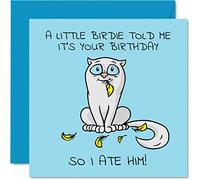 Birthday Card Funny - A Little Birdie Told Me It's Your Birthday So I Ate Him - Cartoon Cat Cards for Her or Him, 145mm Greeting Cards, Cards Female Adult Friend