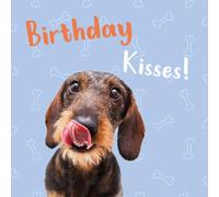 Birthday Card, Greeting Card, Birthday Kisses, Dachshund Design, Includes Envelope, Flamingo
