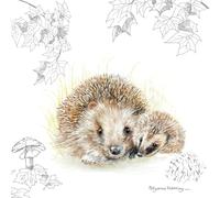 Birthday Card - Greeting Card - CS Hedgehogs - Hedgehog Motif - Includes Envelope - Flamingo