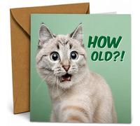 Birthday Card - Greeting Card - How Old Cat - Funny Cat Motif - Includes Envelope - Flamingo