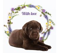 Birthday Card - Greeting Card - With Love Choc Lab - Chocolate Labrador Motif - Includes Envelope - Flamingo