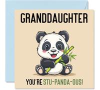 Birthday Cards for Granddaughter - Stu-Panda-ous - Funny Happy Birthday Card for Granddaughter from Grandparents, 145mm Joke Bday Greeting Cards Women Her