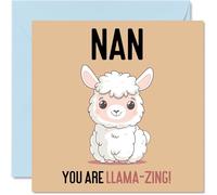 Birthday Cards for Nan - Llama-Zing - Funny Happy Birthday Card for Nan from Grandson Granddaughter, Nanny Gifts, 145mm Joke Greeting Cards Women Her