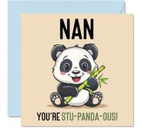 Birthday Cards for Nan - Stu-Panda-ous - Funny Happy Birthday Card for Nan from Grandson Granddaughter, Nanny Gifts, 145mm Joke Greeting Cards Women Her