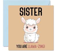 Birthday Cards for Sister - Llama-Zing - Funny Happy Birthday Card for Sister from Brother, Sibling Gifts, 145mm Joke Greeting Cards Women Her