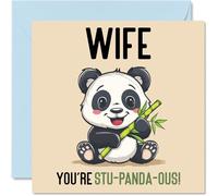 Birthday Cards for Wife - Stu-Panda-ous - Funny Happy Birthday Card for Wife from Husband, Wifey Gifts, 145mm Joke Greeting Cards Women Her