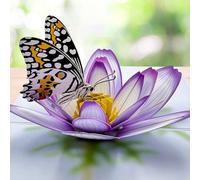 Birthday Cards for Women, 3D Cosmos Flower Personalised Pop Up Card Birthday Gift for Wife, Butterfly Happy Birthday Card, Birthday Card for Mum, Sister, Auntie, Female Friend, Niece, Daughter In Law