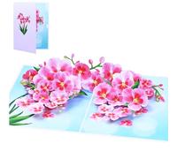 Birthday Cards for Women - 3D Pop Up Greeting Card with Elegant Orchid Design, Laser Cut Floral Card with Envelope, Romantic Gift for Her, Anniversary Thank You Card