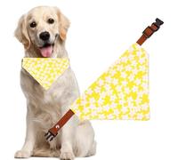 Birthday Dog Bandana - Personalized Name & Pattern Scarf, Washable Polyester for Special Celebrations