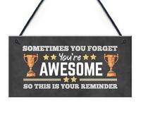 Birthday Gifts for Her Thank You Gifts Birthday Gifts for Women You Are Awesome Wooden Hanging Friendship Plaque Gift for Women Best Friends Sentimental Inspirational Cheer Up Gift (Design 2)