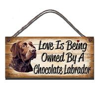 Birthday occasion Chocolate Labrador Wooden Funny Sign Wall Plaque Love is Being Owned By A Chocolate Labrador