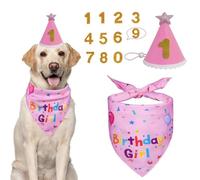 Birthday Outfit Set With Birthdays Hat, Bandana, Bow Tie & Cake Topper Numbers | Adjustable Pet Party Costume for Small to Large Dogs Cats(Style 5)