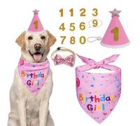 Birthday Outfit Set With Birthdays Hat, Bandana, Bow Tie & Cake Topper Numbers | Adjustable Pet Party Costume for Small to Large Dogs Cats(Style 2)