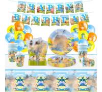 Birthday Party Decorations, 60PCS Theme Birthday Party Supplies, Birthday Decorations Set include Banner Latex Balloons Tellers Cups Tablecloth for Children's Birthday Decorations Boys Girls