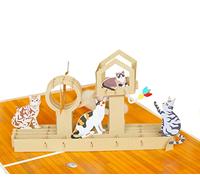 Birthday Pop Up Card, 3D Birthday Anniversary Greeting Mothers Day Card (Size 20x15 cm - Cat Tree)