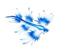 Birthday Slugs Toy Collector Sea Figure Party Favors for Durable Nudibranch Nipple Slugs Simulation Figure Party Ornament Collectible Sea Slugs Statue Party Perfect for the Sea Small Slugs Figurine