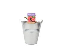 Birthday Wishes Rose in 5.5L Pot - Bright Orange-Red Flowering Rose Bush Gift - Metal Zinc Pail