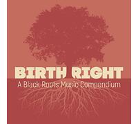 Birthright: A Black Roots Music Compendium