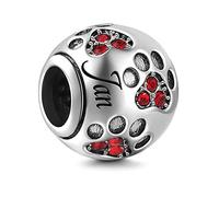 Birthstone Charm Fit for Pandora Charms Bracelet Dog Paw Jan-Dec Birthday Crystal Charms for Bracelet and Necklace (January)