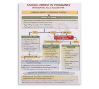 BIRXPMOS Advanced Life Support for Pregnancy Cardiac Arrest Poster Protocol Guide for Emergency Department Teams(Framed,12x18inch(30x45cm))