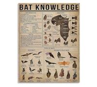 BIRXPMOS Bat Information Poster Vintage Wildlife Knowledge Canvas Wall-Art Educational Decor for Nature Lovers(Framed,08x12inch(20x30cm))