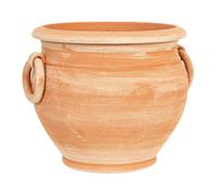 Biscottini Terracotta Pot With Handles Frost Resistant Planter Outdoor