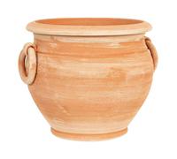 Biscottini Terracotta Pot With Handles Frost Resistant Planter Outdoor