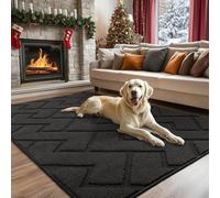 Biscpro Door Mat, 119x180cm DoorMat Indoor Washable, Doormat Indoor Dirt Trapper Non-slip,Absorbent Inside Entrance Rug Mat for Entryway,Patio,Garden,Laundry Room,Pets - Dark Gray
