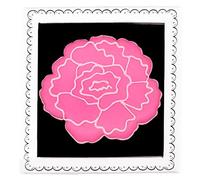Biscuiteers Carnation January Birth Flower Letterbox Biscuit - Freshly Baked Lemon Biscuit in Illustrated Gift Box - Hand-Crafted and Hand-Iced in London, Artisan Birthday Gift