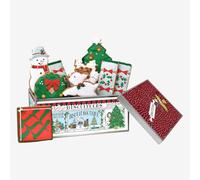 Biscuiteers Merry & Bright Gingerbread Biscuit Tin - Hand-Iced Christmas Set of 9 Festive Biscuits