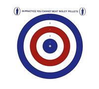 Bisley 100 Red White & Blue 17cm (6.75") Card Airgun Targets Air Rifle Pistol Hunting Practice Zero