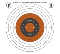 Bisley 17cm Single Card Targets Grade 2 Loose 1000