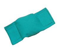 Bisley Beanbag Dog Puppy Dummy Green