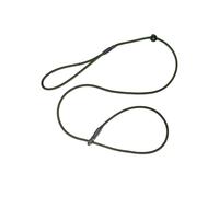 Bisley Field Trial Advanced Dog Lead - Green