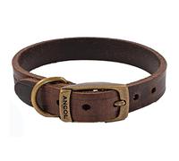 Bisley Heritage Leather Dog Collar Havana Size 3