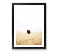 Bison Gaze Framed Print | A2 Black Framed Wall Art | Ready to Hang | Modern Nature Picture | Living Room Bedroom Lounge Office