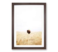 Bison Gaze Framed Print | A2 Walnut Framed Wall Art | Ready to Hang | Modern Nature Picture | Living Room Bedroom Lounge Office