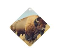 Bison in The Great Plains Car Air Freshener Ocean Scent Long Lasting Tablets for Auto Hanging Fragrance