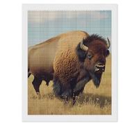 Bison in The Great Plains Funny Adult Diamond Art Painting Kits Personalised Drill Craft Picture Wall Decor